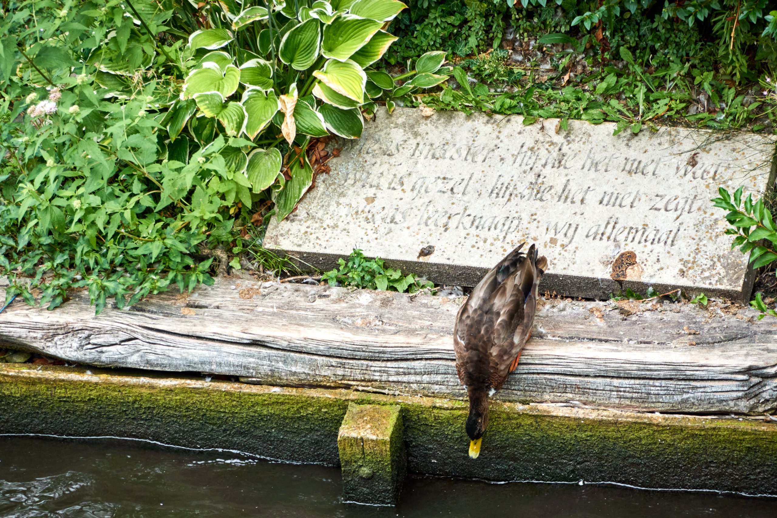 2022 08 23 Brugge 2674